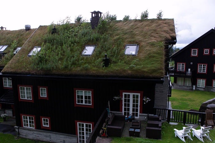 Mundo e Viagens – Conheça os tetos verdes da Noruega