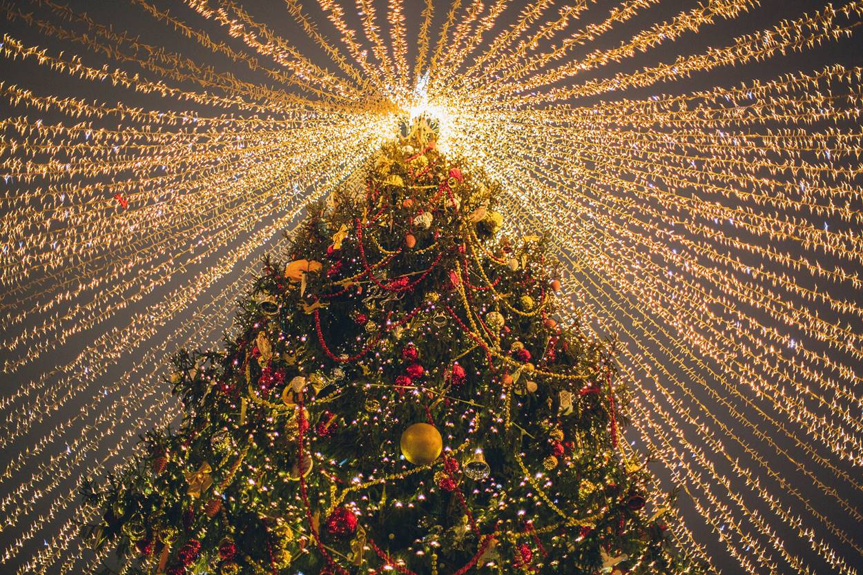 Natal: história, tradições e curiosidades da festa comemorativa