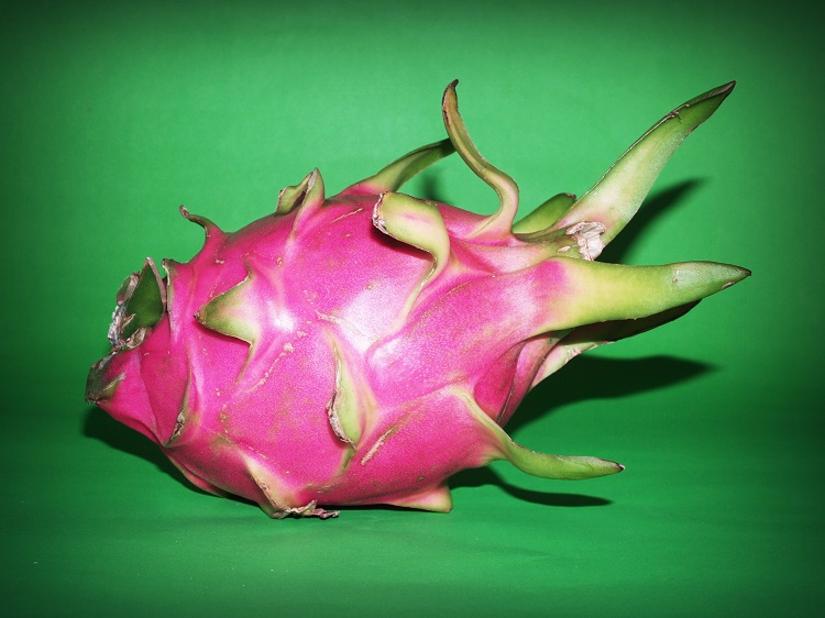 fruta do dragão de casca rosa em fundo verde