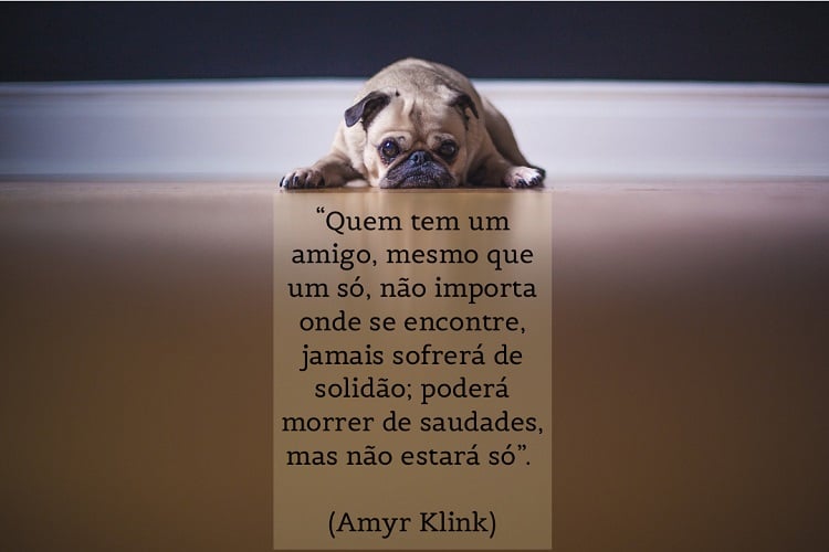 citação sobre saudade de Amyr Klink