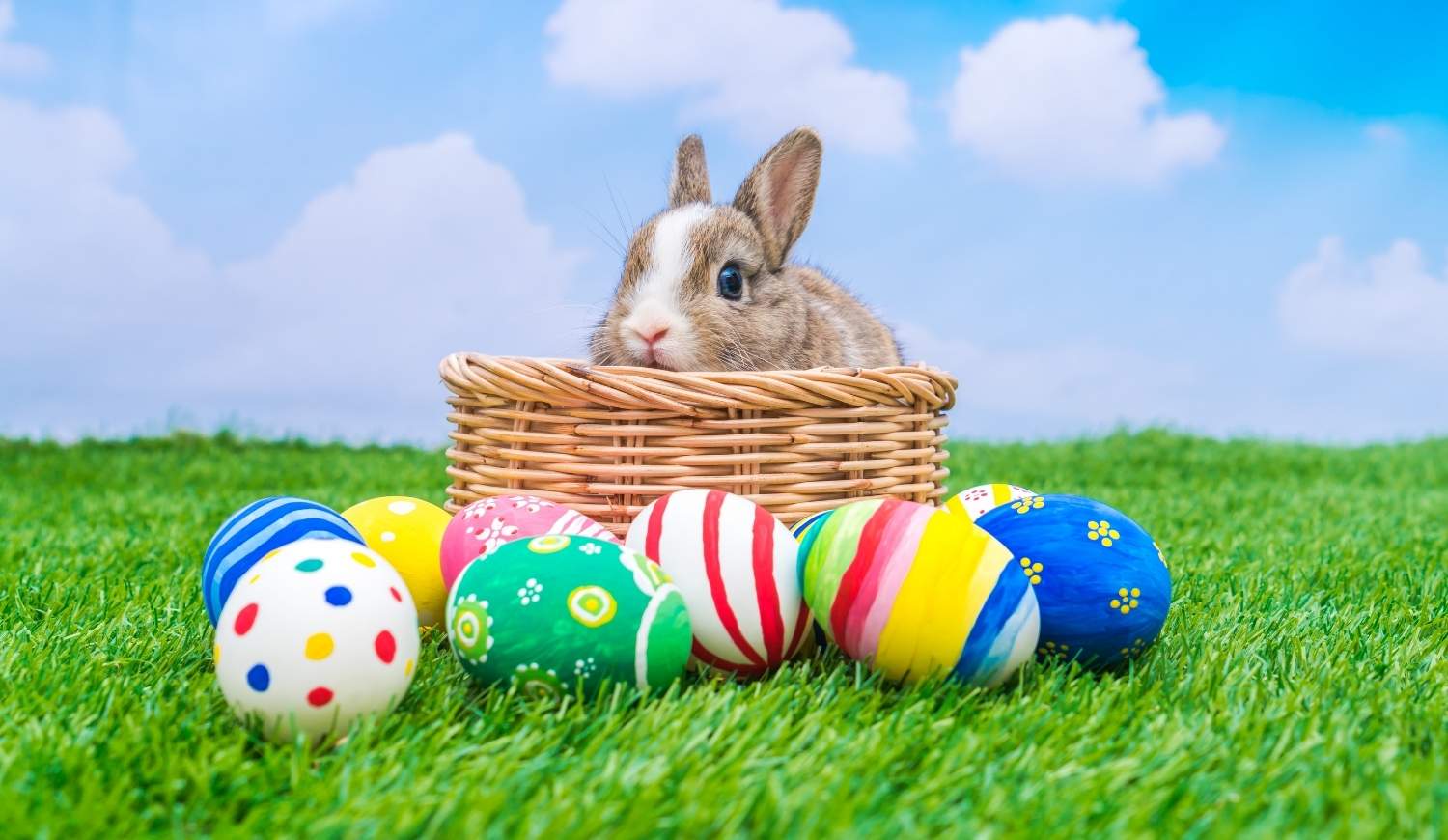 Páscoa: qual é a origem da tradição do coelhinho da Páscoa e dos ovos?