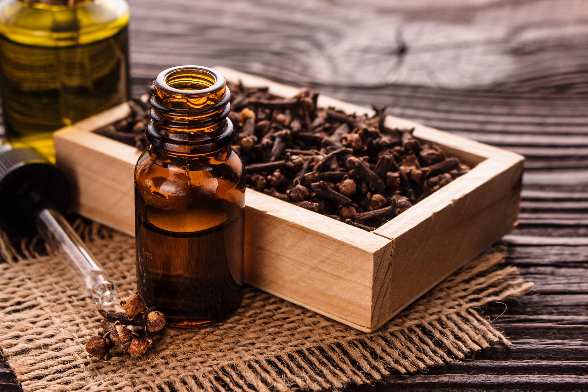 Óleo de cravo: 13 razões incríveis para usar esse óleo essencial super terapêutico