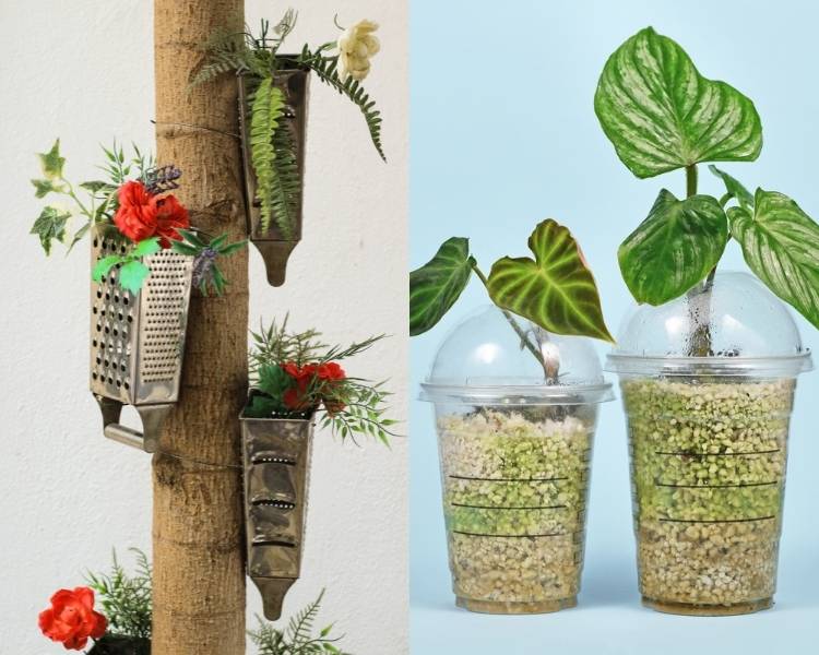 Foto upcycling: recipientes transformados em vasos de planta.