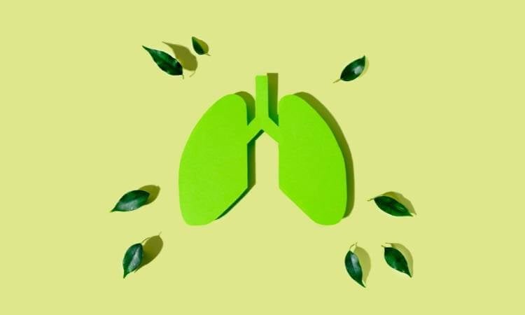 Fundo verde com desenho de pulmão.