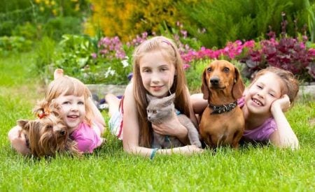 Crianças e animais – Uma amizade saudável e divertida