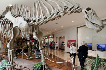 Dinossauros da Patagônia chegam a São Paulo