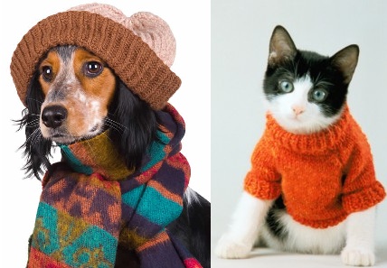 Agasalhe o seu pet no inverno – Roupas para cães e gatos