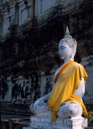 Moda e Budismo: uma visão ocidental e oriental convergidas