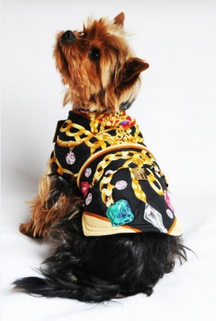 Primeira Edição da Pet Fashion Week Brasil