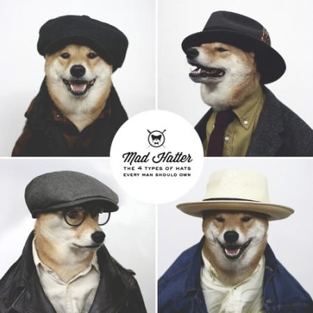 Menswear Dog – Um cachorro que dá dicas de moda masculina