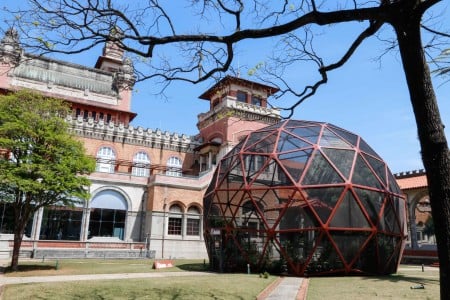 8 museus com jardins para visitar em São Paulo – Dicas de Passeios