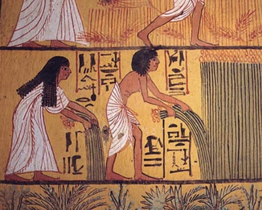 Ilustração egípcia mostrando a colheita de linho na Tumba de Sennedjem do antigo Egito