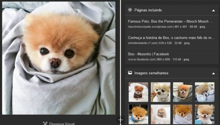Pesquisa de imagem reversa – Pesquisar qualquer imagem agora ficou mais simples
