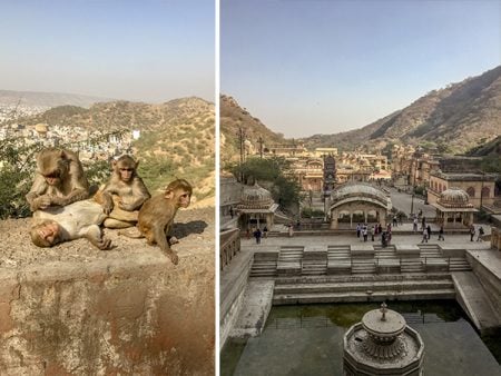 Galta Ji Temple – Visitando o templo dos macacos em Jaipur, India – Viagem