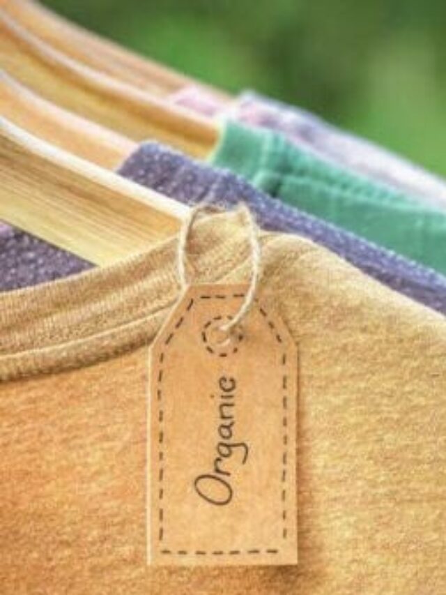 17122019-moda-sustentavel-camisetas-