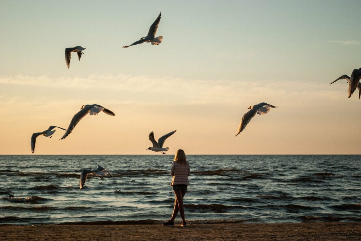Como lidar com a solidão - Foto de mulher sozinha na praia durante o por do sol, cercada de andorinhas