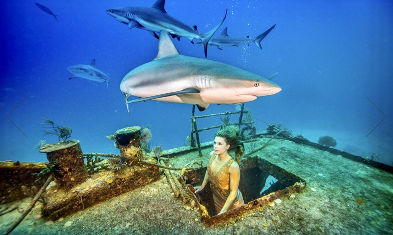 Karina Oliani com tubarões ensaio