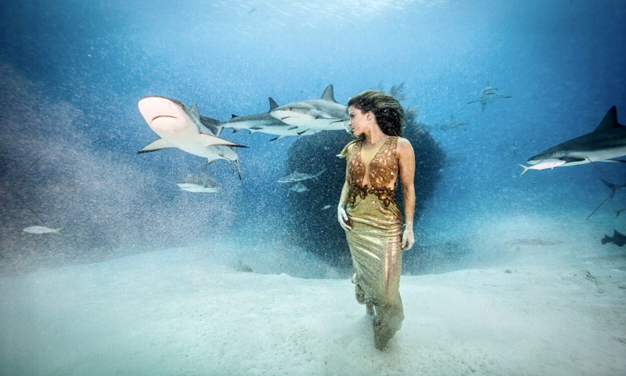 Karina Oliani com tubarões ensaio