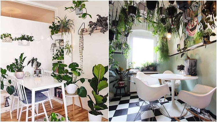 duas fotos de salas de jantar decoradas com selva urbana