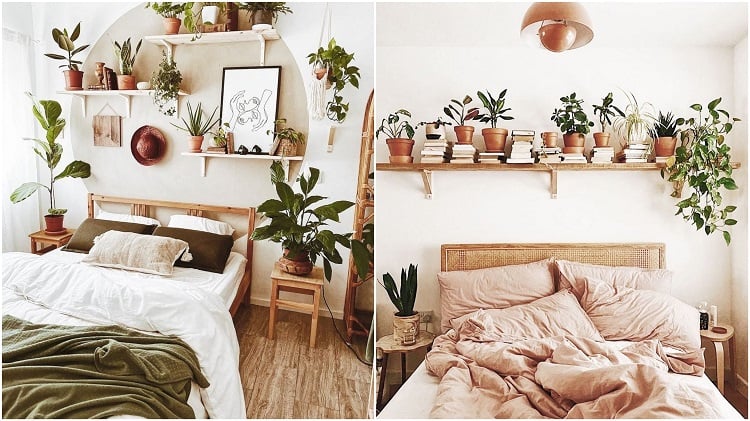 prateleiras com plantas nas cabeceiras de duas camas de casal