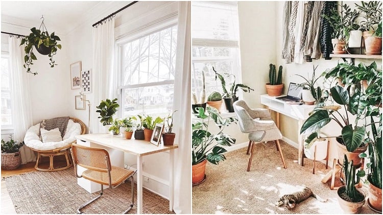 duas fotos de home office branco com plantas