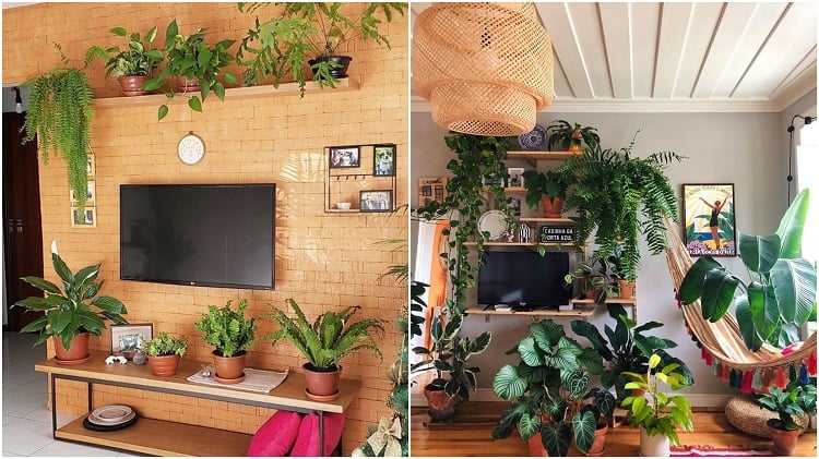 racks decorados com vasos de plantas