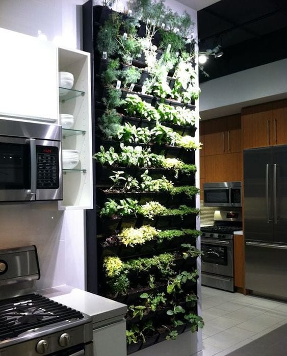 Cozinha com jardim vertical.