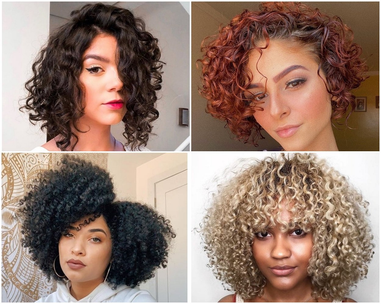 quatro imagens de mulheres com cabelo cacheado curto