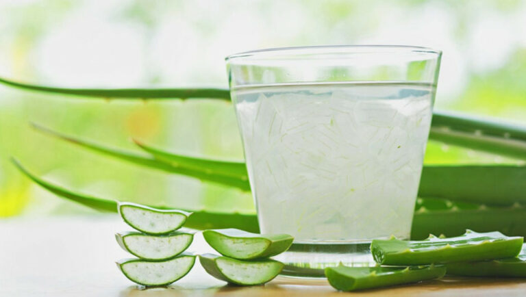 9 benefícios da babosa e todo o poder da Aloe vera para saúde, pele e cabelos