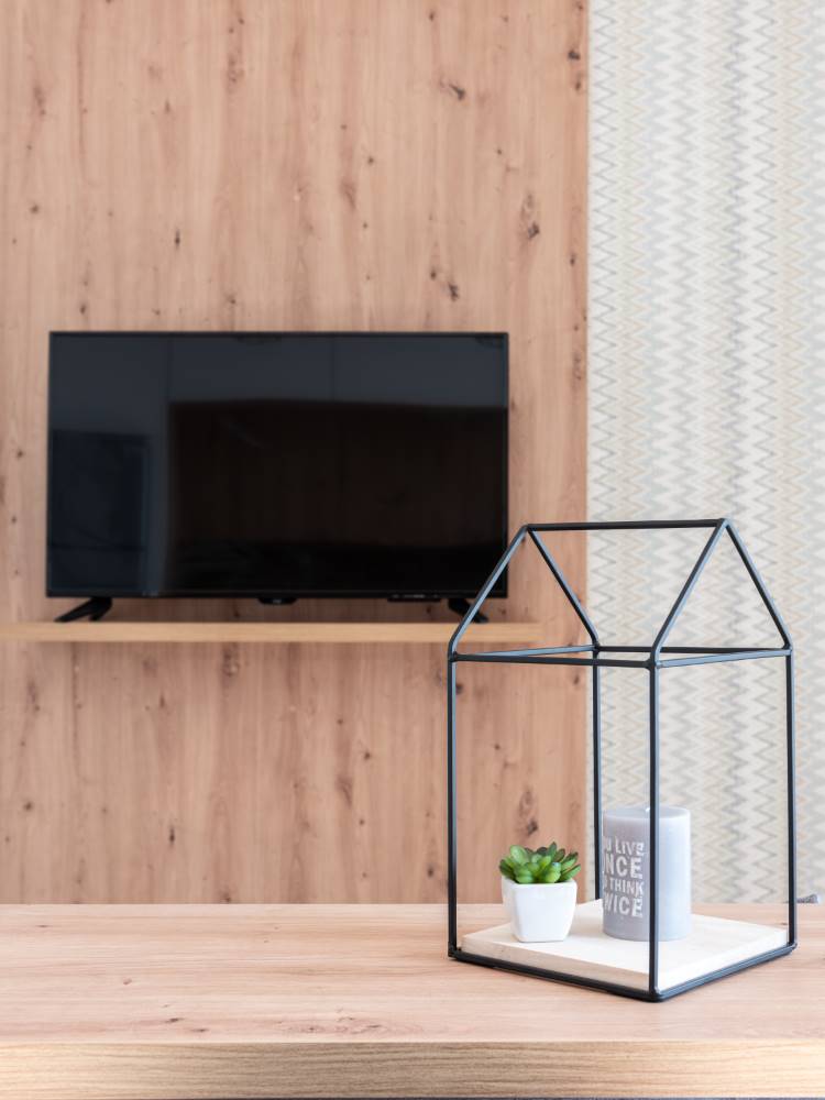 Pequeno vaso branco com suculenta dentro de uma espécie de gaiola de ferro em formato de casa. Situa-se sobre uma mesa com um painel de madeira ao fundo que possui uma TV sobre prateleira. 