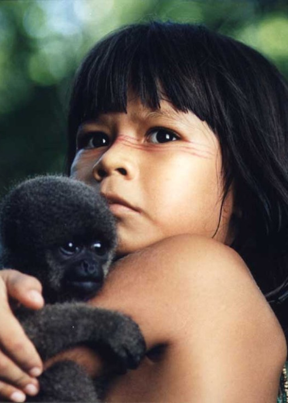Tainá e macaquinho. Tainá