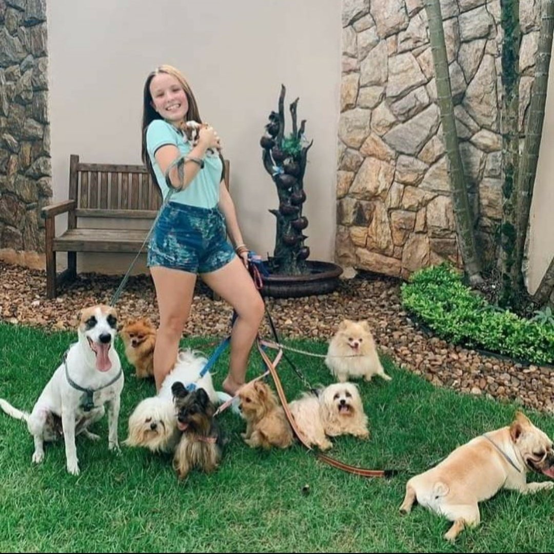 Larissa Manoela e seus noves cachorros. Larissa Manoela e seus cachorros