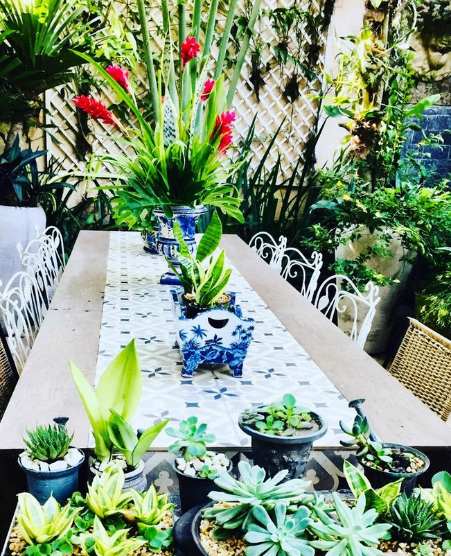 Jardim resudencual pequeno com mesa e rodeado de plantas Jardim residencial