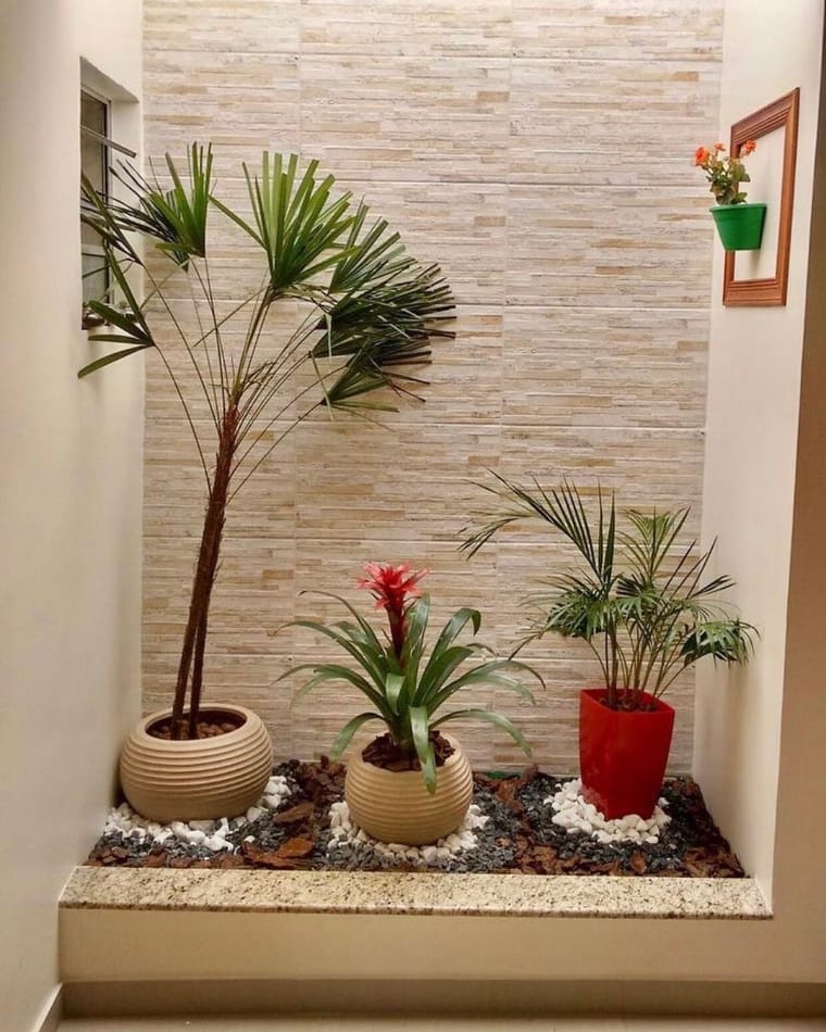 Três vasos de plantas