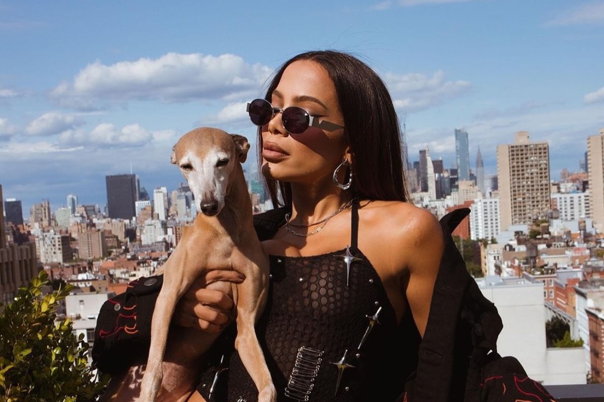 Anitta de look marrom e óculos de sol segurando Plinio no colo