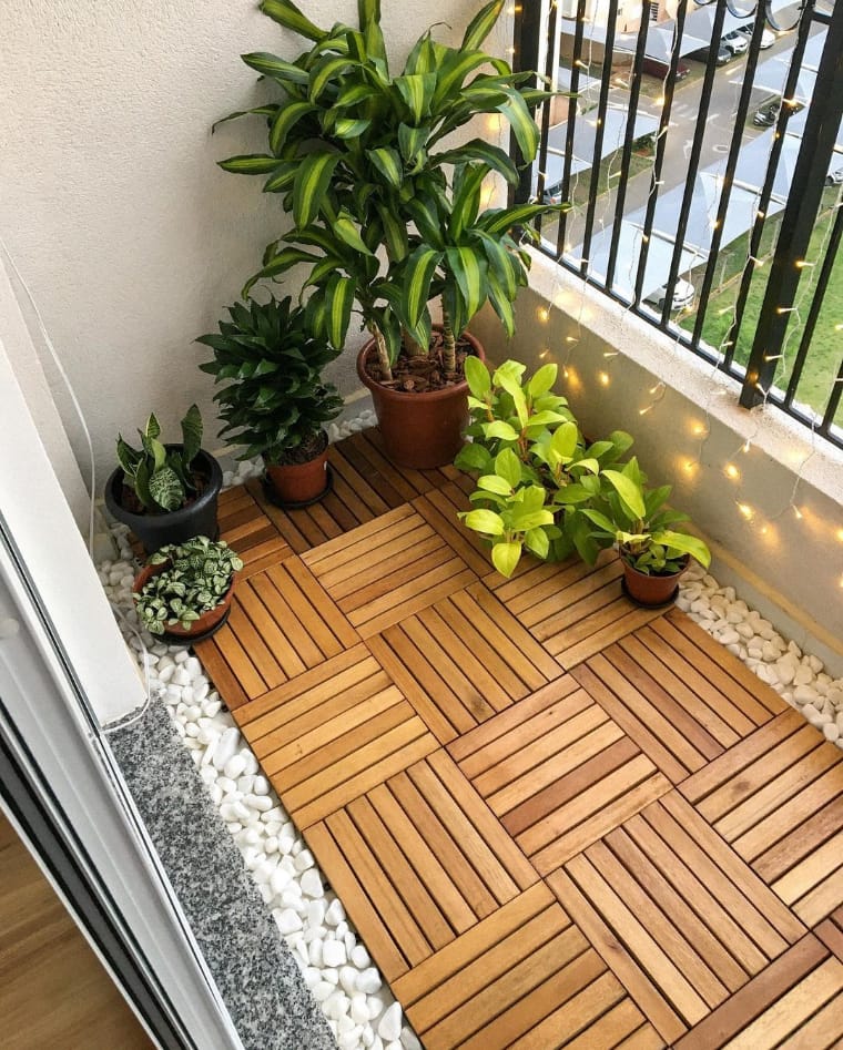 Seis vasos de plantas. Chão com plantas