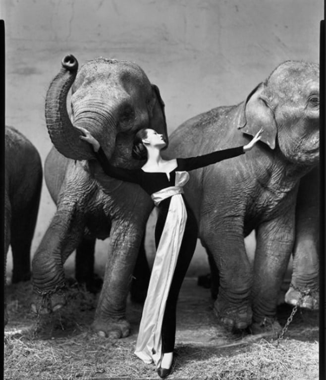"Dovima com elefantes", primeiro vestido desenhado por Yves Saint Laurent para a Dior.