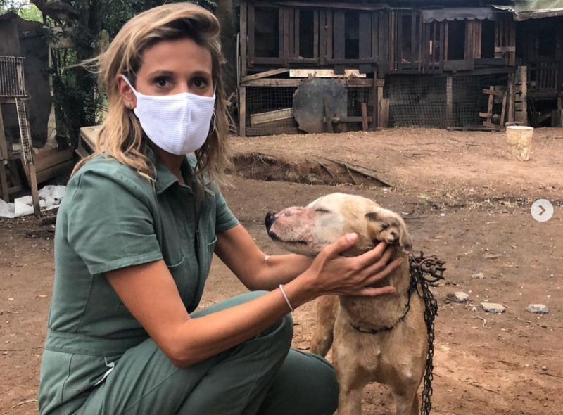 Na foto, aparece Luísa Sonza posando ao lado de um cachorro. Ela usa máscara branca de proteção.