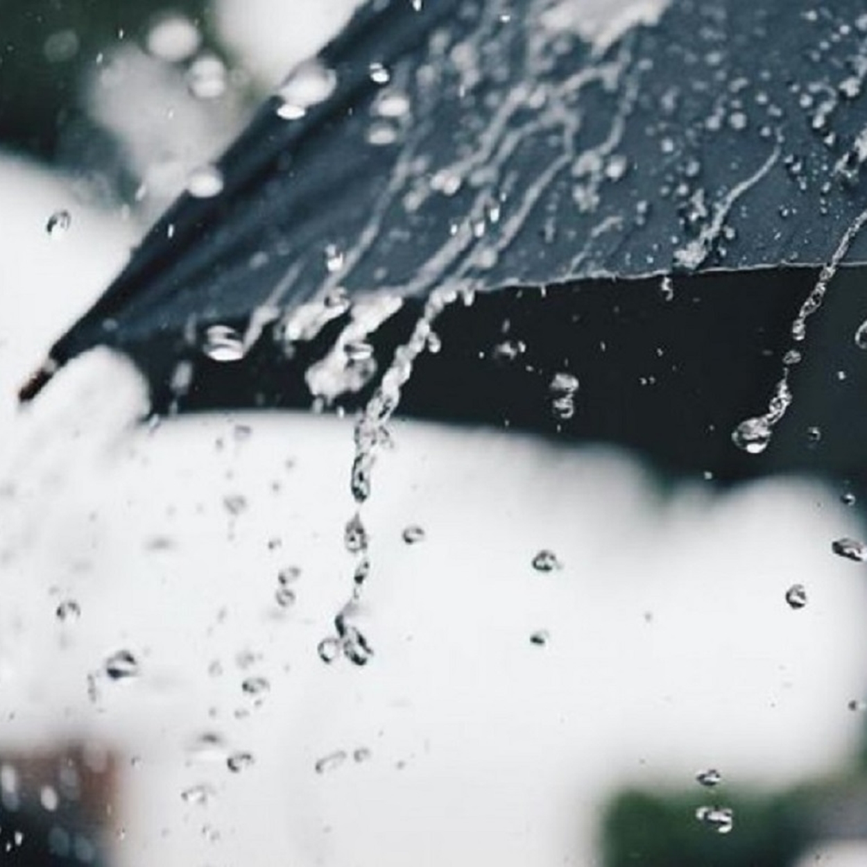 Som de chuva. Som de chuva.