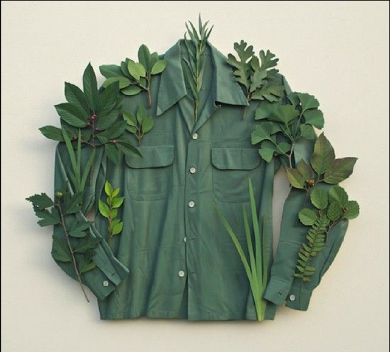 camisa social verde com folhagem ao redor enfeitando