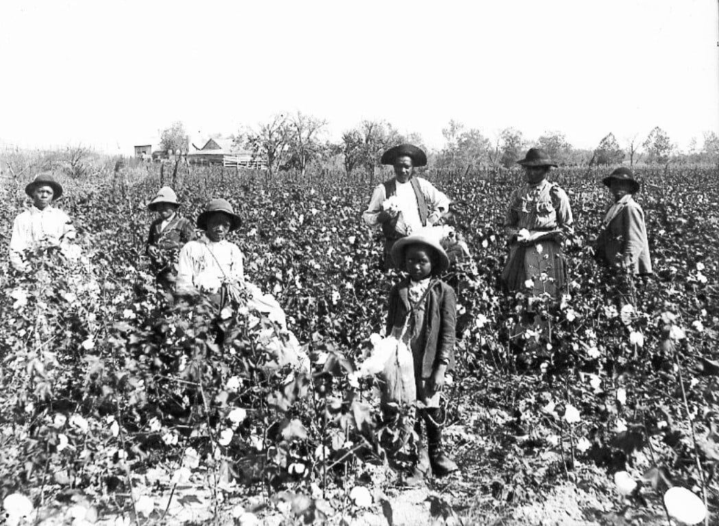 Trabalhadores negros em um fazenda de algodão nos Estados Unidos, c. 1890. 