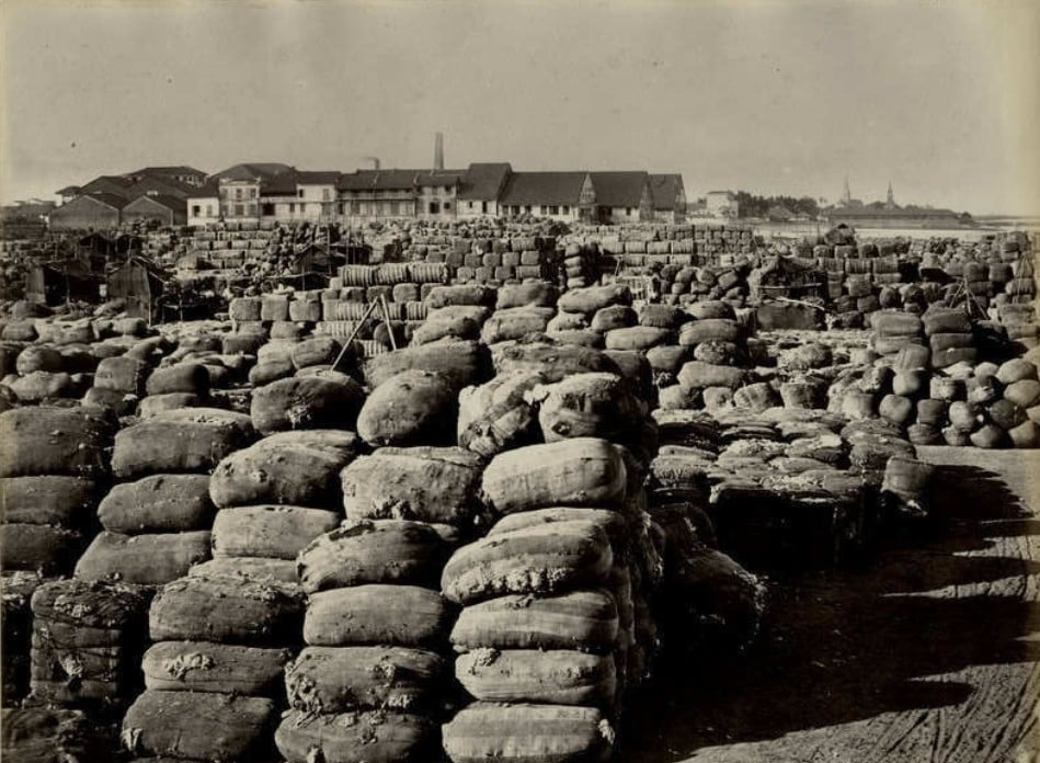 Carregamento de algodão em um porto na Índia, c. 1860. 