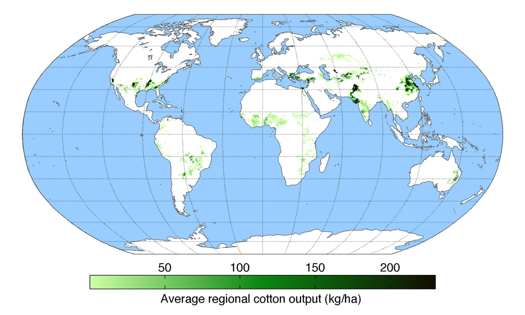 Mapa com os maiores produtores de algodão do mundo. 