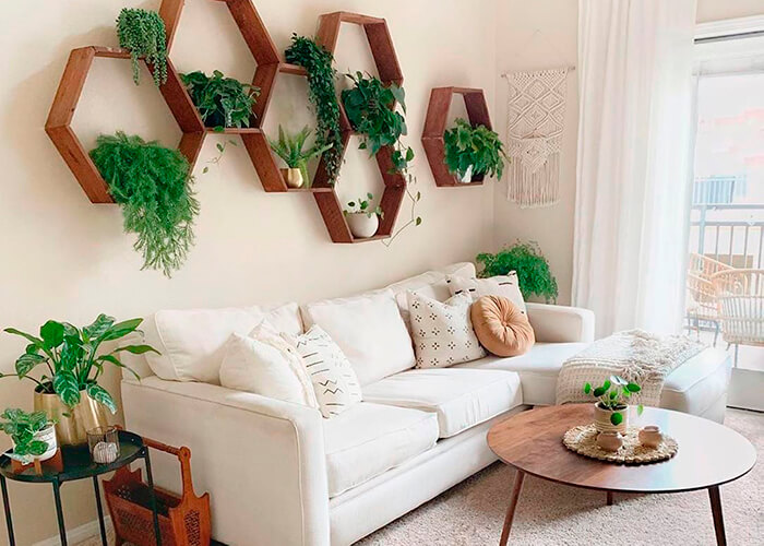 Sala com plantas para diminuir o calor.