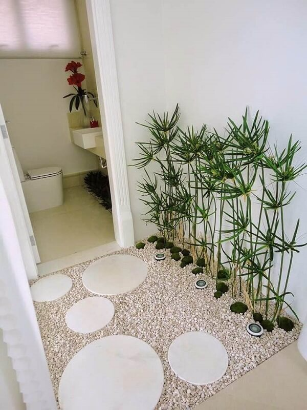 Entrada do banheiro com plantas.
