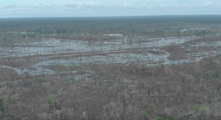 área desmatada floresta amazônica