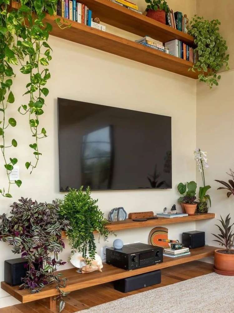 Sala de TV com prateleiras de madeira cheias de vasos de diversas espécies de plantas