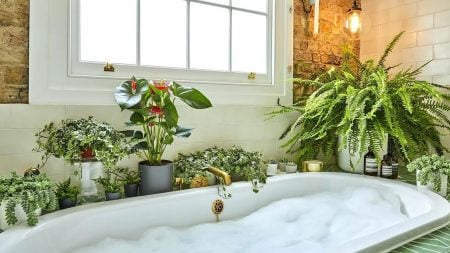 Plantas para banheiro: 10 espécies para arrasar na decoração