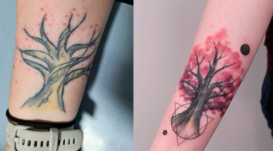 Cobertura de uma tatuagem de árvore colorida com outra tatuagem de árvore colorida mais bonita, e rosa.