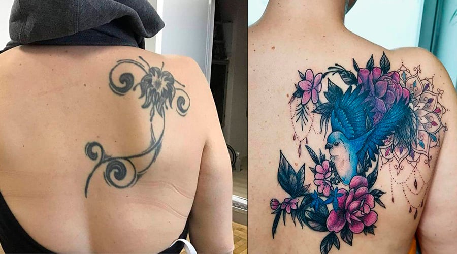 Tatuagem antiga em preto, coberta por uma muito maior, com a imagem de um pássaro azul cercado de flores rosas, nas costas de alguém.